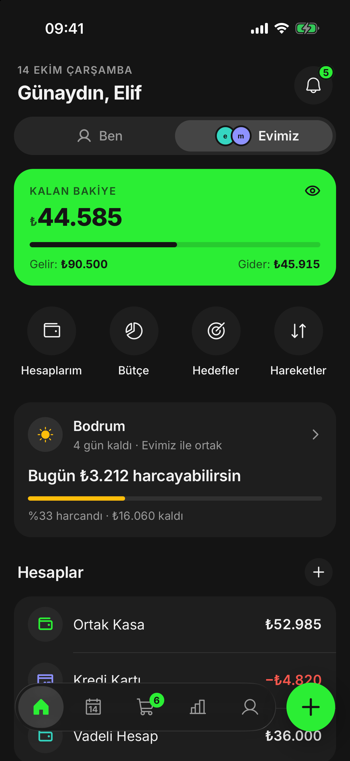 finwe ana ekranı: bu ayın bütçesi ve hesaplar.